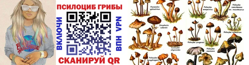 Псилоцибиновые грибы ЛСД  Балашов 